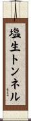 塩生トンネル Scroll