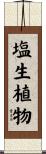塩生植物 Scroll