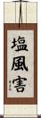塩風害 Scroll