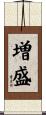 増盛 Scroll