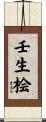 壬生桧 Scroll