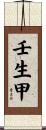 壬生甲 Scroll
