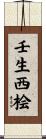 壬生西桧 Scroll