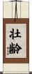 壮齢 Scroll