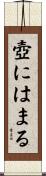 壺にはまる Scroll