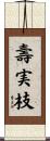 壽実枝 Scroll