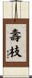 壽枝 Scroll