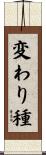 変わり種 Scroll