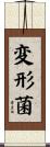 変形菌 Scroll