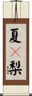 夏々梨 Scroll