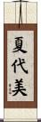 夏代美 Scroll