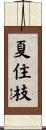 夏住枝 Scroll