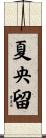 夏央留 Scroll