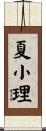 夏小理 Scroll