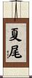 夏尾 Scroll