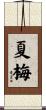 夏梅 Scroll