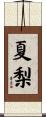 夏梨 Scroll