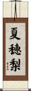夏穂梨 Scroll