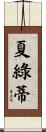 Charlotte Scroll