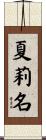 夏莉名 Scroll