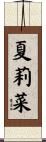 夏莉菜 Scroll