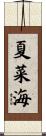 夏菜海 Scroll