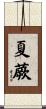 夏蕨 Scroll
