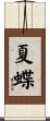 夏蝶 Scroll