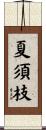 夏須枝 Scroll