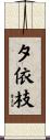 夕依枝 Scroll