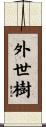外世樹 Scroll