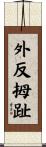 外反拇趾 Scroll