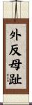 外反母趾 Scroll