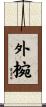 外椀 Scroll