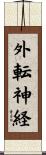 外転神経 Scroll