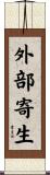 外部寄生 Scroll