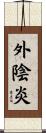 外陰炎 Scroll