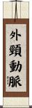 外頸動脈 Scroll