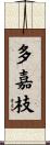 多嘉枝 Scroll