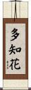 多知花 Scroll