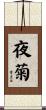夜菊 Scroll