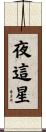 夜這星 Scroll