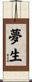 夢生 Scroll