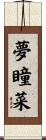 夢瞳菜 Scroll