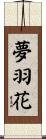 夢羽花 Scroll