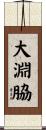 大淵脇 Scroll