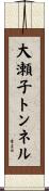 大瀬子トンネル Scroll