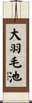 大羽毛池 Scroll