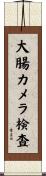 大腸カメラ検査 Scroll