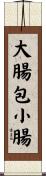 大腸包小腸 Scroll